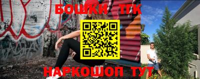 шишки Апшеронск