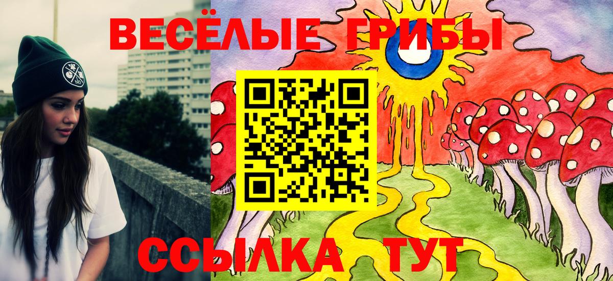 где купить наркоту  Бор  Галлюциногенные грибы Psilocybe 