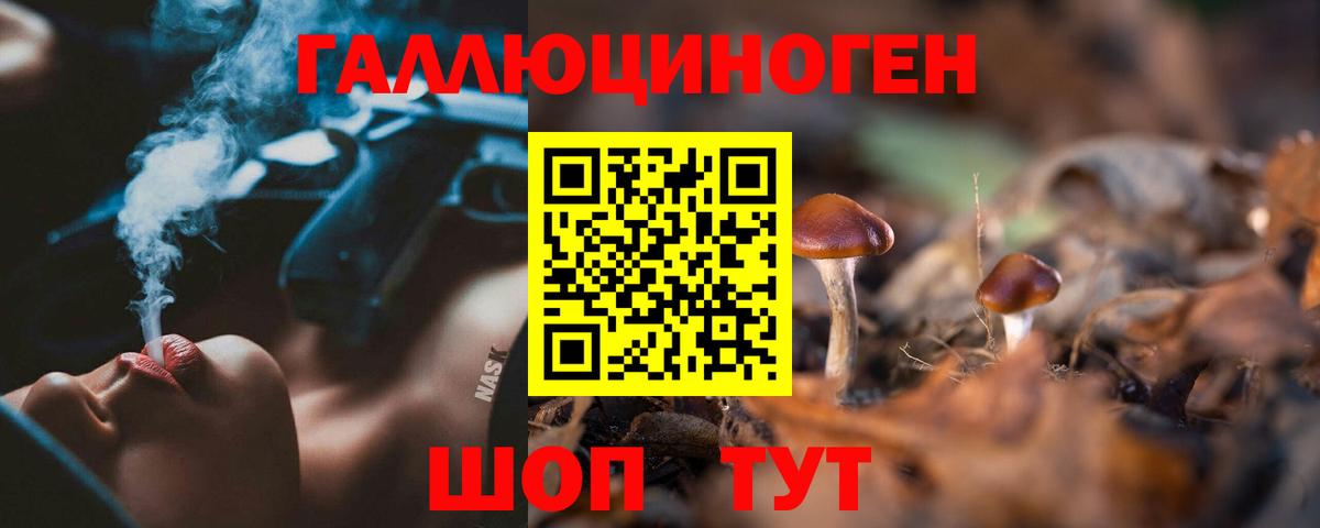 Псилоцибиновые грибы Cubensis Бор